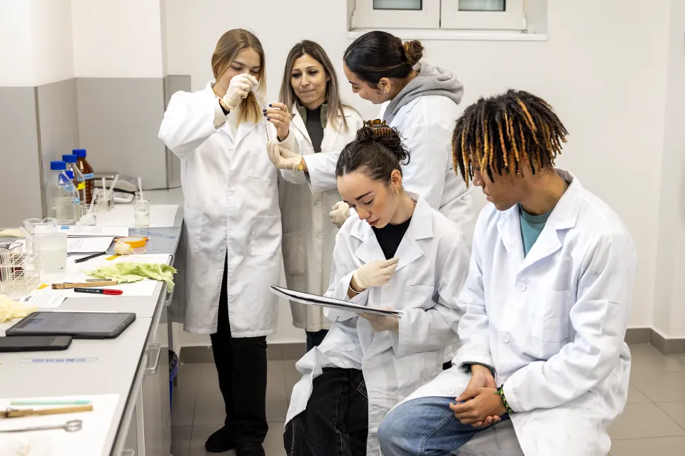 Biology laboratory at SLU-Madrid