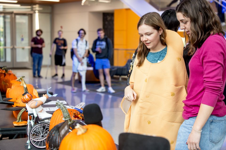 Pumpkin Watching