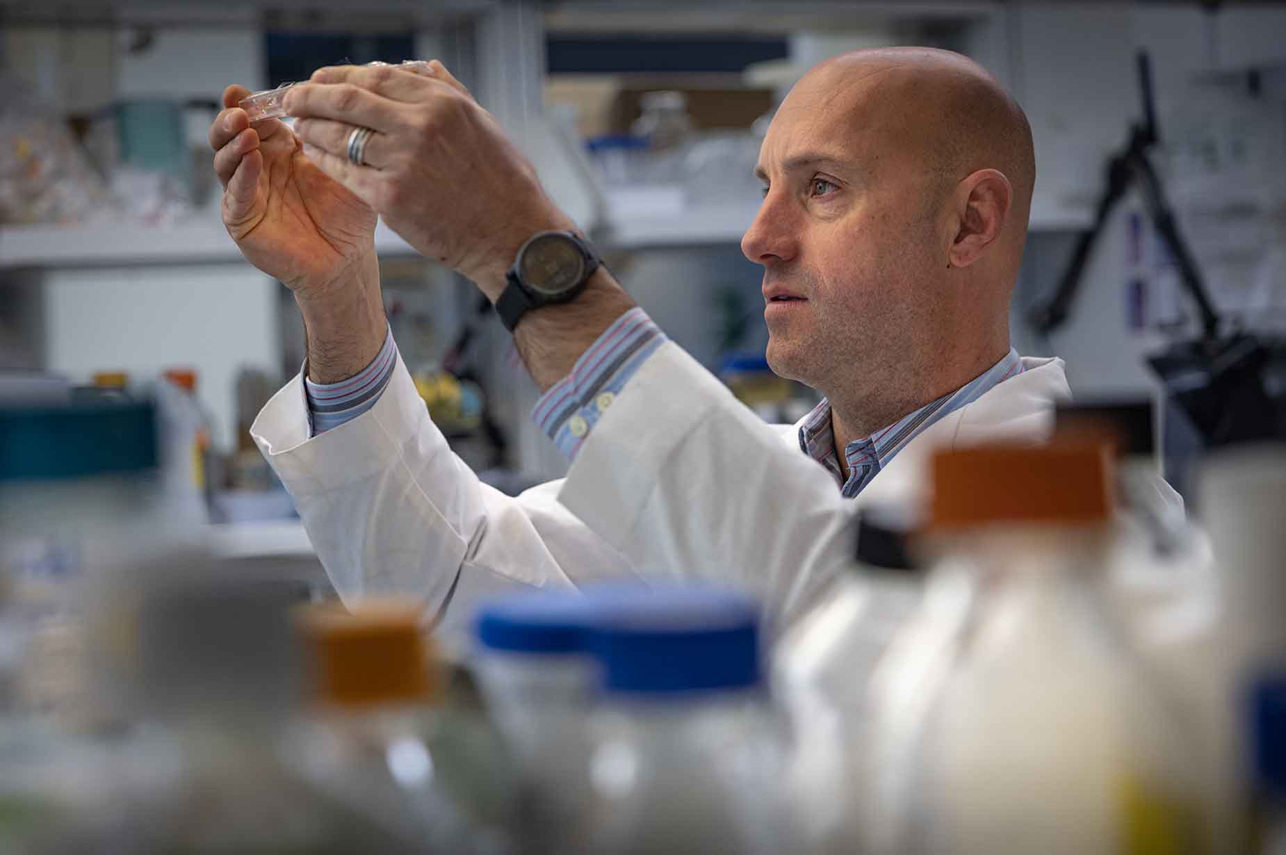 A researcher in the Teckman Lab holds up a vial to examine it in the light.