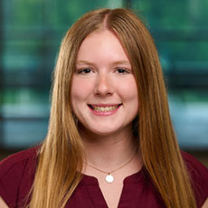 Nanocomposite hydrogel microsphere drug delivery device for sustained release of charged molecules