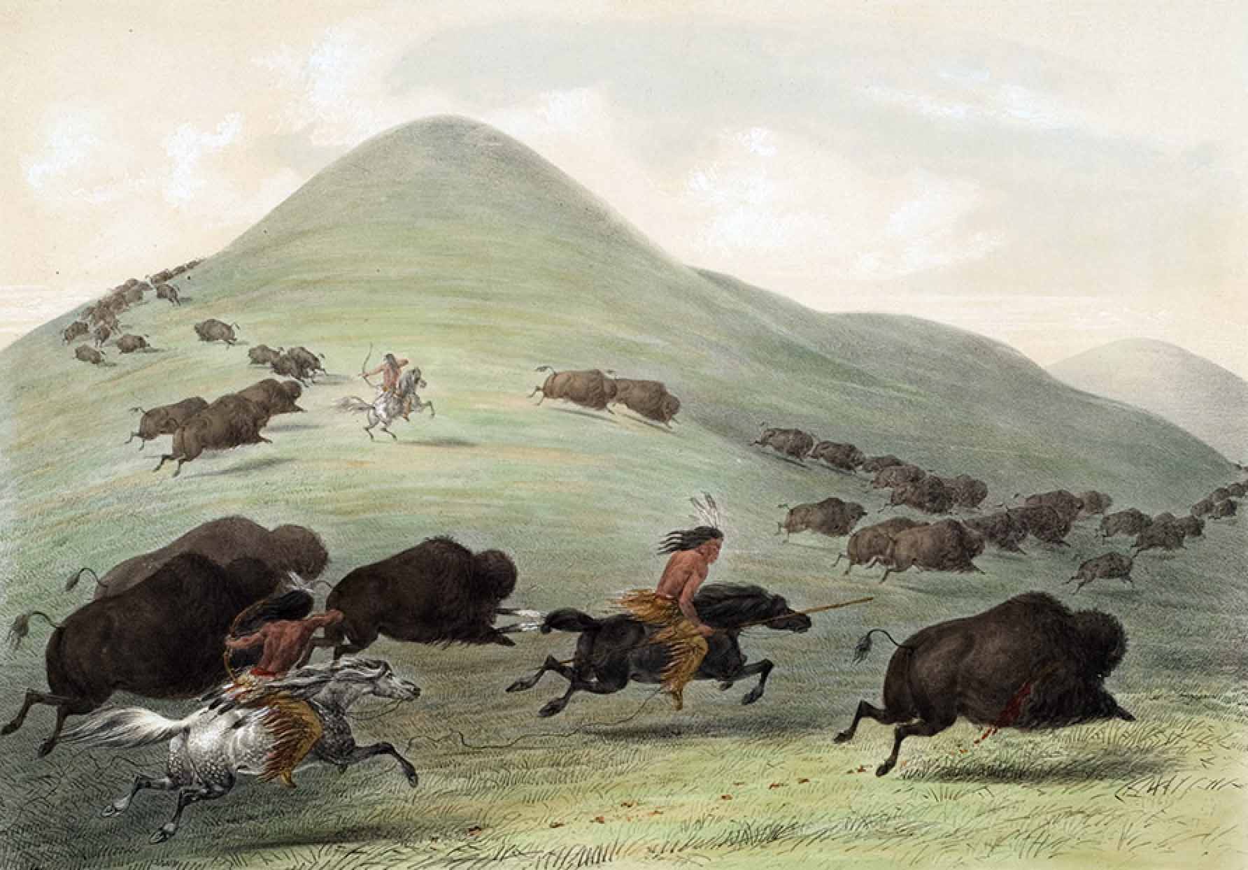 Buffalo Hunt, Chase